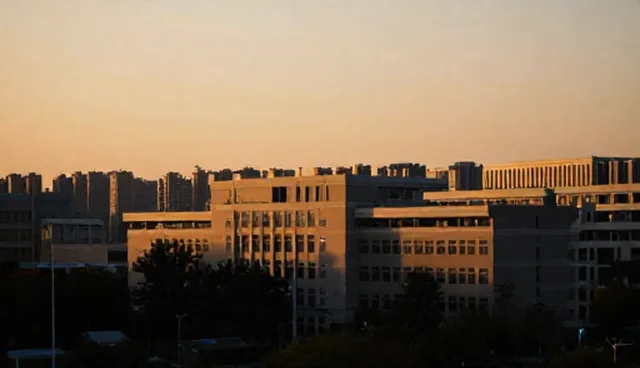 优化用人机制，提升服务效率的实用建议